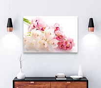 Obraz Exotická orchidea zs1174